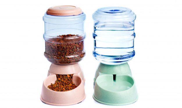 Comment choisir une bonne fontaine à eau pour chien ?