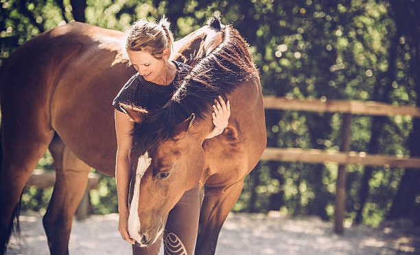 5 astuces pour vérifier la bonne santé de mon cheval